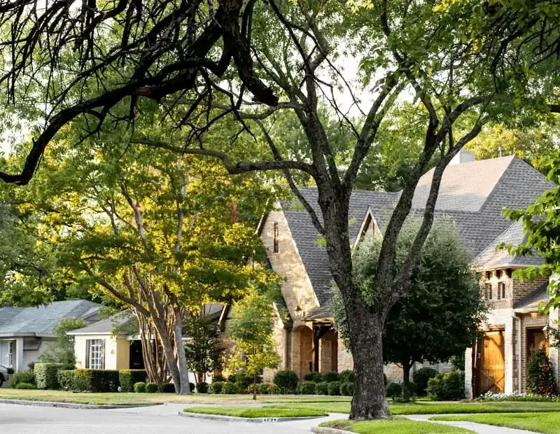 Stunning residential neighborhood with luxury homes and lush greenery, showcasing JHR Group's real estate expertise.